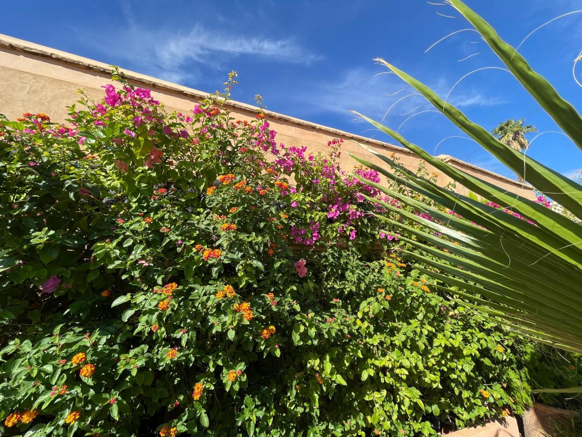 Riad Zouhour Marraquexe Exterior foto